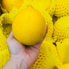 Fresh abiu fruit in an Abiu Fruit Box, showing its smooth yellow skin and translucent jelly-like flesh