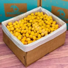 Fresh Yellow Barhi Dates, golden dates, exotic fruit box Canada