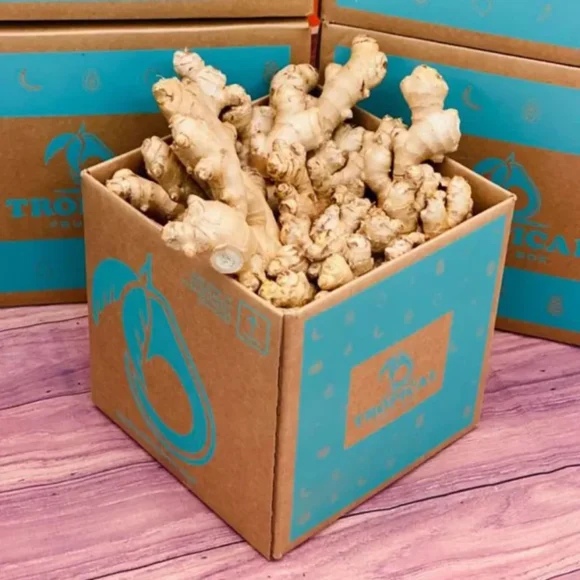 Fresh tropical ginger roots in a box, showcasing their vibrant yellowish-brown skin and knobby texture