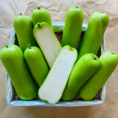 Long Opo Chinese Squash in an exotic fruit box