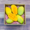 Haitian Mango Tropical Fruit Box with fresh and vibrant mangoes