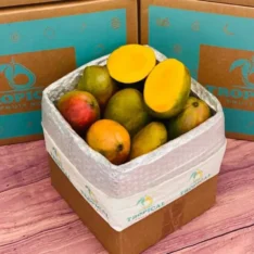 Buy Julie Mango Tropical Fruit Box Canada