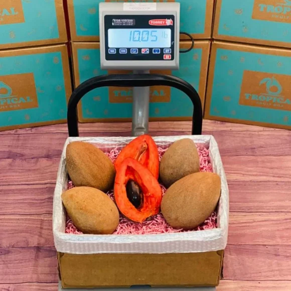 Mamey Sapote Exotic Fruit Box available in Canada