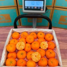 Fresh mandarin oranges in a box, showcasing their vibrant orange colour and easy-to-peel skin