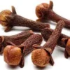 Buy Clove Seeds Canada