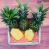 Fresh Tropical Golden Pineapples, sweet and juicy pineapples, available in Canada