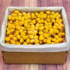 Best Yellow Barhi Dates Fruit Box | Fresh Barhi Dates for Sale Canada