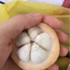 Santol Fruit Box for Sale