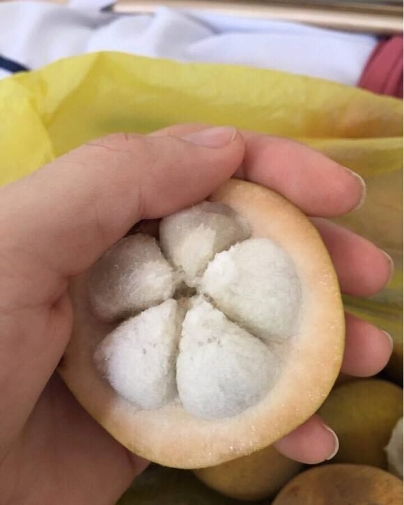 Santol Fruit Box for Sale