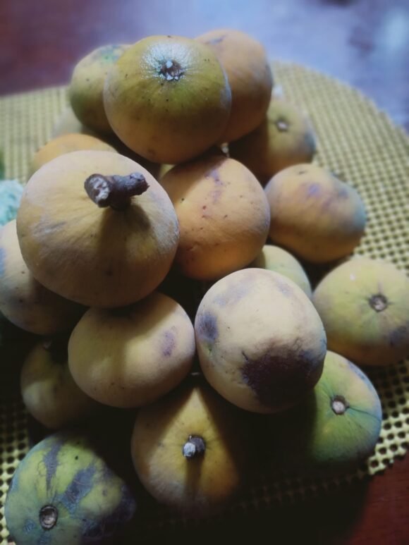 Santol Fruit Box for Sale Ontario