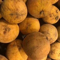 Buy Santol Fruit Box Canada | Tropical Fruits