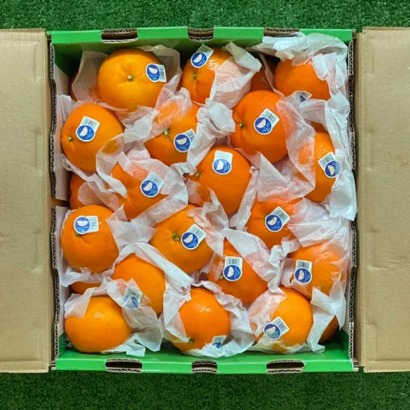 Japanese Jelly Oranges